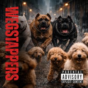 Wegstappers (feat. BRUUT & ALTRÆGO) (Explicit)