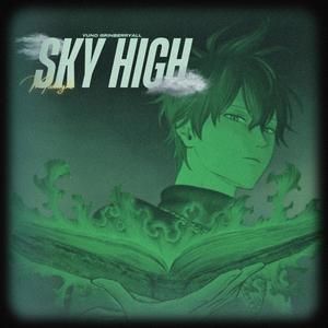 SKY HIGH!