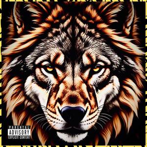 CALIBRADO (Explicit)