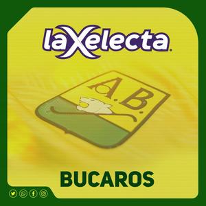 Bucaros
