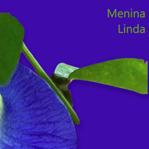 Menina Linda