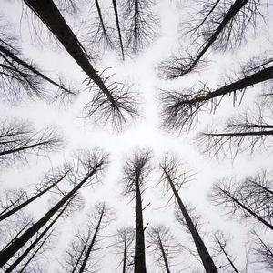 阳光嗅起来有点闹