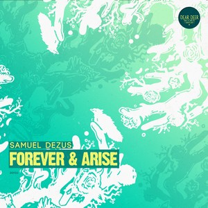 Arise (Original Mix)