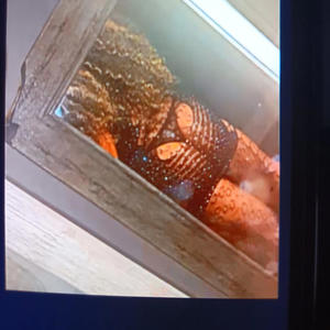 ON THE PROWL (Explicit)