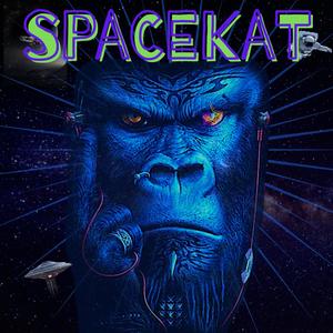 SPACEKAT (Explicit)