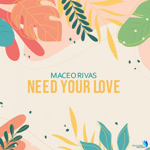 Need Your Love (Original Mix)