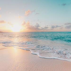 JungleBeachDreams