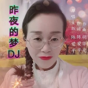 昨夜的梦DJ (女版伴奏)