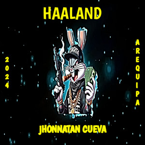 Haaland