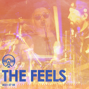 Blue Brained Anomaly (Live at Radio Artifact)