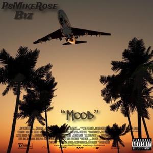 Mood (feat. Biz) (Explicit)