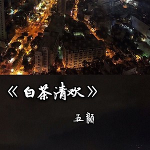 白茶清欢