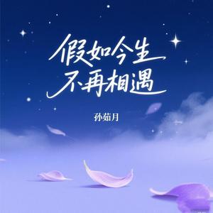 假如今生不再相遇