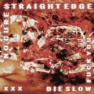 No Cure Straight Edge Die Slow **** You (Explicit)