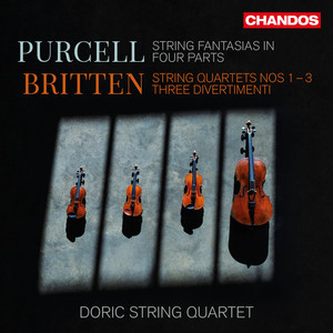 String Quartet No. 1 in D Major, Op. 25 - I. Andante sostenuto