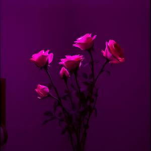 Edge of Her Room (Explicit)