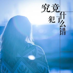 究竟犯了什么错 (DJ月之歌版)