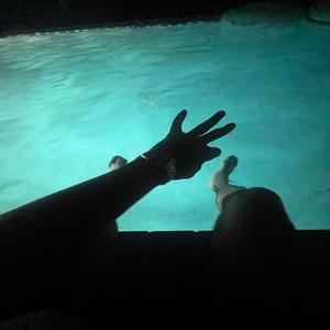 Longface (Demo|Explicit)