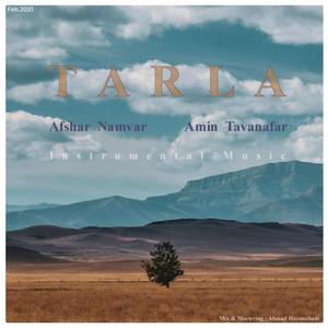 Tarla(feat. Afshar Namvar)