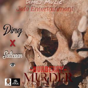 Burberry Murder (feat. Saltcaan) [Explicit]