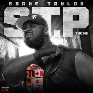 STP (Shane Taylor Theme)