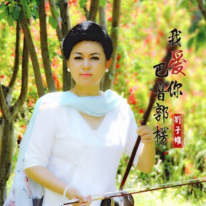 刘子维 - 我爱你,巴音郭楞