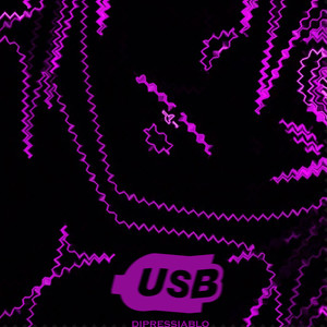 Usb