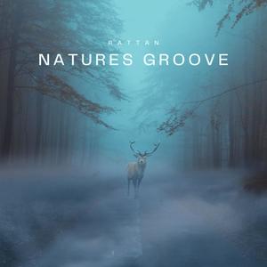 Natures Groove