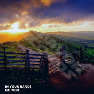 In Your Hands (Original Mix)