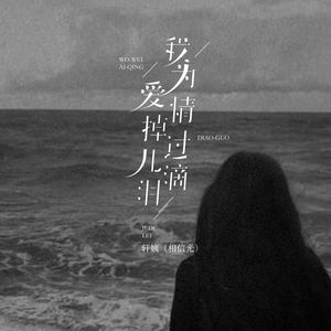 我为爱情掉过几滴泪