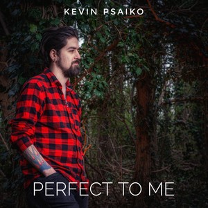 Perfect to Me (Radio Edit)