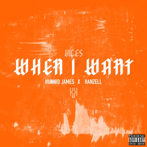 When I Want (Explicit)