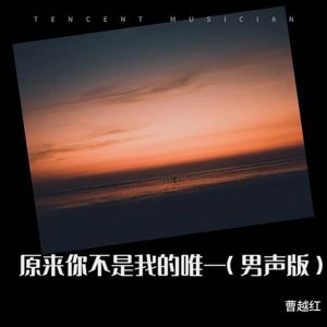 原来你不是我的唯一 (男声新版)