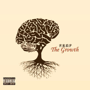 The Growth (Explicit)