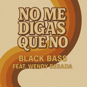 NO ME DIGAS QUE NO