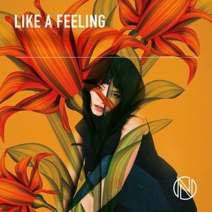 Like A Feeling