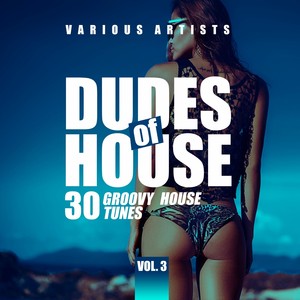 Dudes of House (30 Groovy House Tunes), Vol. 3
