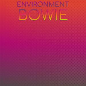 Environment Bowie