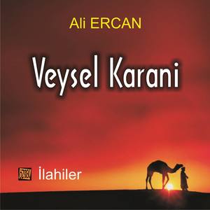 Veysel Karani