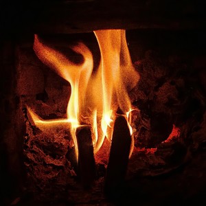 Nose(prod. TREETIME)