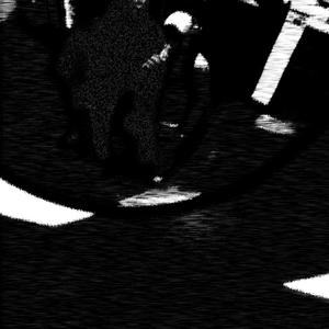 Lover boy (Explicit)