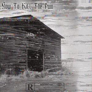 HOWTOKILLTHEPAIN (Explicit)