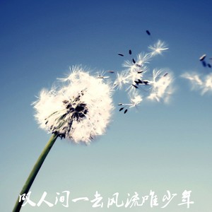 叹人间一去风流唯少年