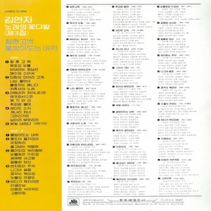 아메리카 차이나타운 (美国中国村)