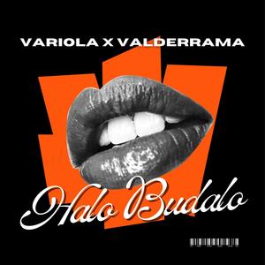 HALO BUDALO (feat. Variola)