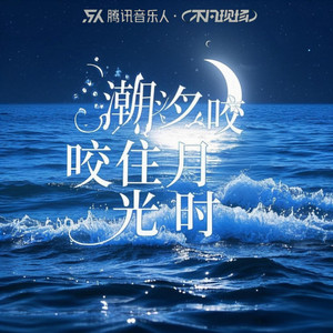 潮汐咬住月光时