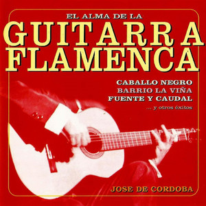 El Alma de la Guitarra Flamenca