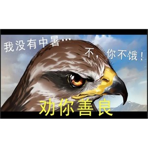 执守无疆-IRiS七叶
