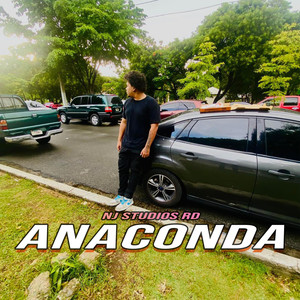 Anaconda