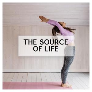 The Source Of Life